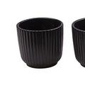 Pot 6 cm