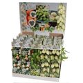 Fruit plants MIX