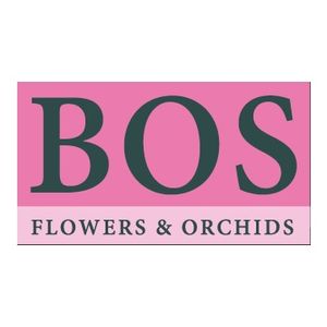 Bos Flowers & Orchids