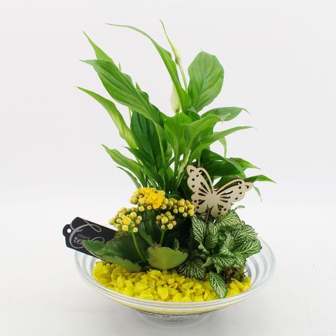 Arrangement Basic Fundamentals