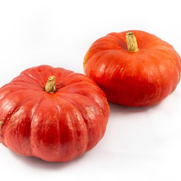 Cucurbita maxima 'Rouge Vif d'Etampes'