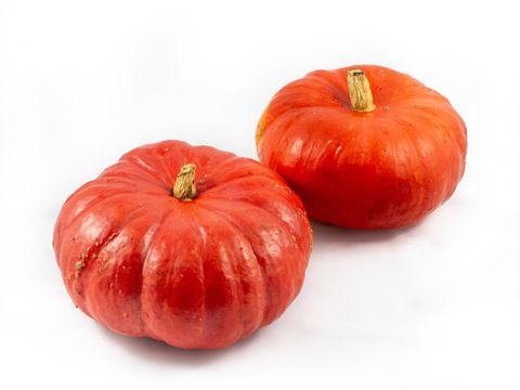 Cucurbita maxima 'Rouge Vif d'Etampes'