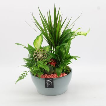 Composizione Basic Fundamentals