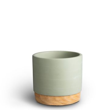 Pot 10 cm