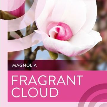 Magnolia denudata FRAGRANT CLOUD