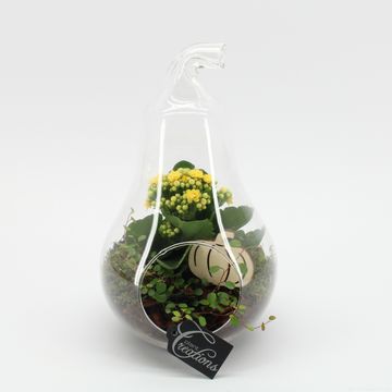 Aranżacja Terrarium