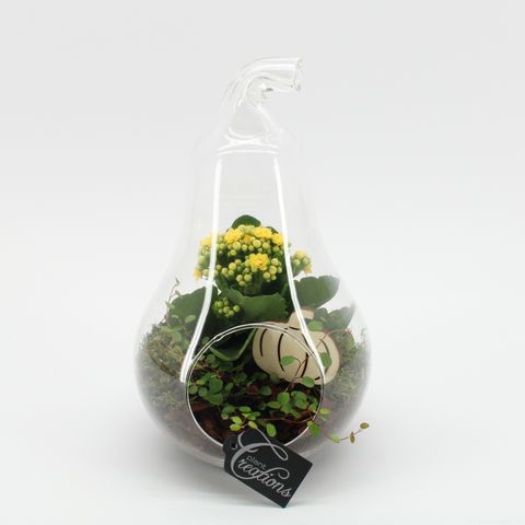 Arrangemang Terrarium