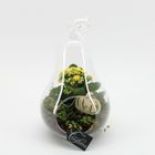 Arranjo Terrarium