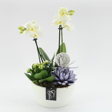 Arrangement New Year