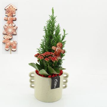 Arrangement Christmas