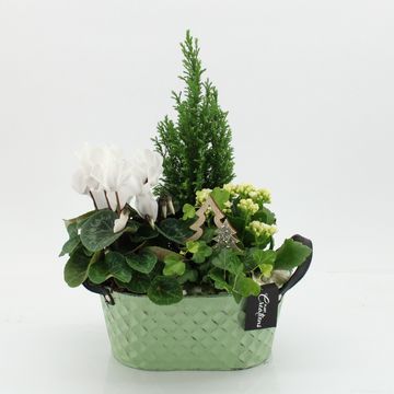 Arrangement Christmas