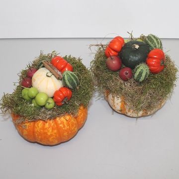 Arrangement Cucurbita