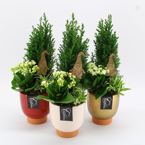 Arrangement Weihnachten