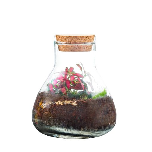 Järjestelyt Terrarium