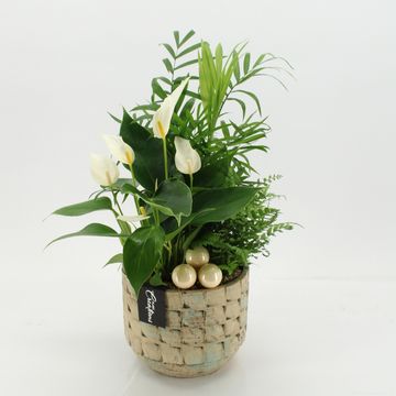 Arrangement Christmas