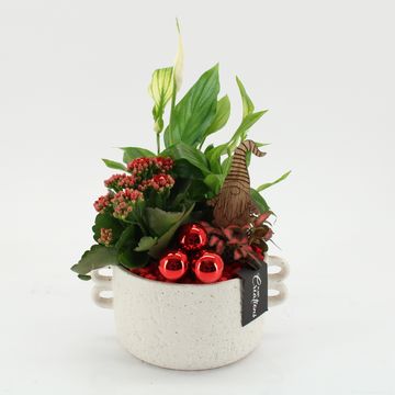 Arrangement Christmas