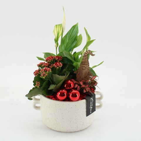Arrangement Christmas