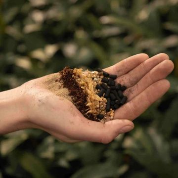 Substrates CARNIVOROUS MIX