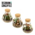 Composizione Terrarium