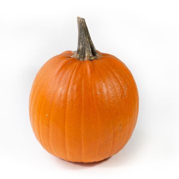 Cucurbita maxima 'Halloween'