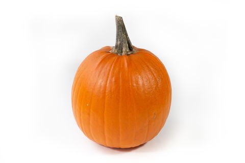 Cucurbita maxima 'Halloween'