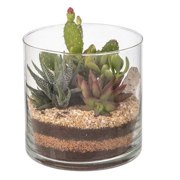 Arranjo Cactus / Succulent