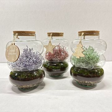 Arrangement Christmas