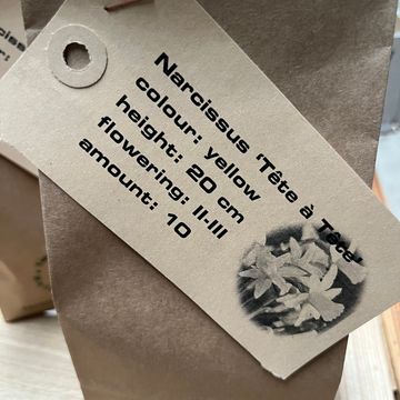 Narcissus 'Tête-à-Tête'