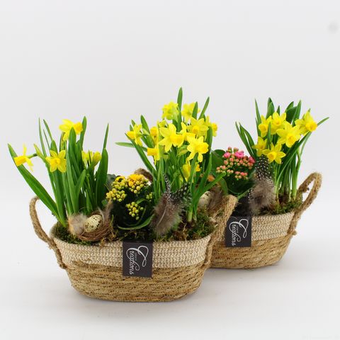 Arrangement Ostern