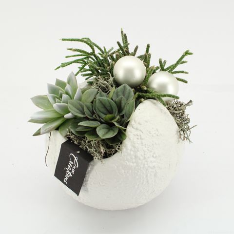 Arrangement Christmas