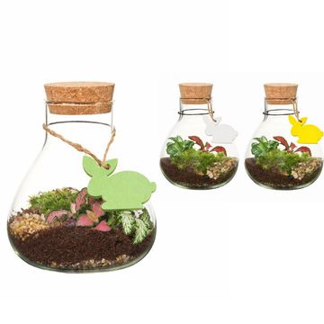 Arrangement Terrarium Easter