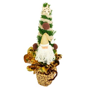 Chamaecyparis лавсониана 'Элвуди'