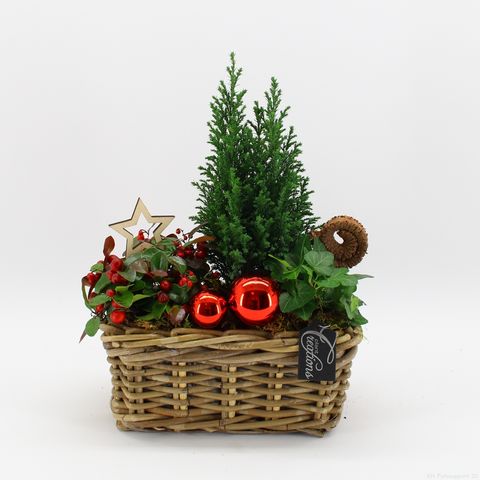 Arrangement Christmas