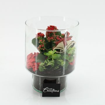 Arrangement Christmas