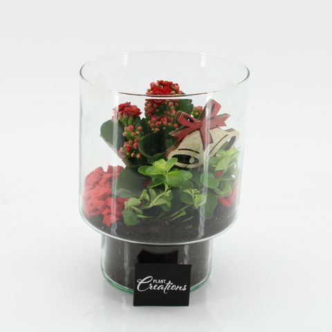 Arrangement Christmas