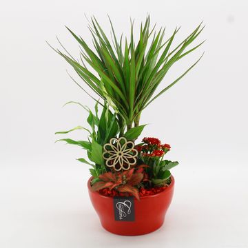 Arrangement Basic Fundamentals