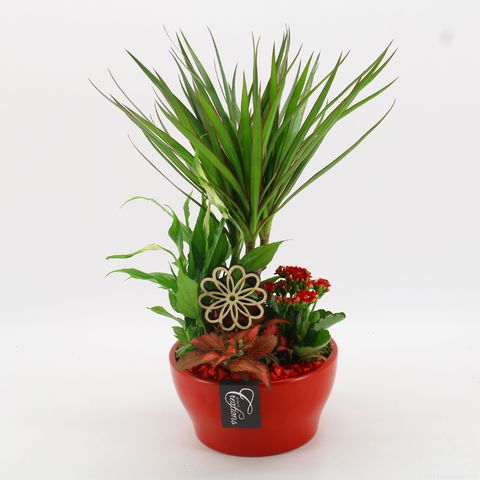 Arrangement Basic Fundamentals