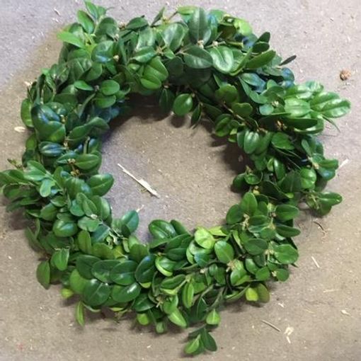 Christmas wreath