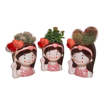 Cactus / Succulents MIX