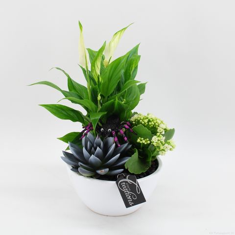 Composizione Halloween