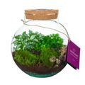 Järjestelyt Terrarium