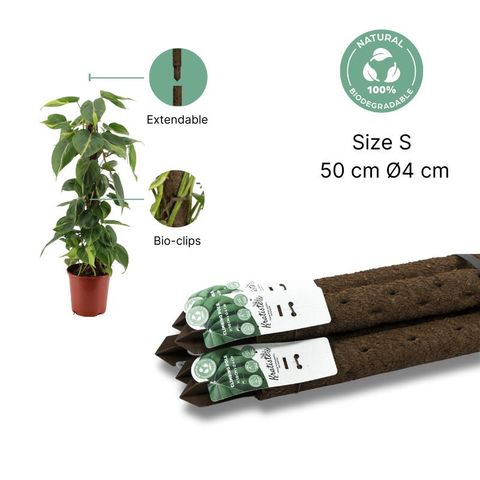 Bastone di muschio - Biodegradable pole