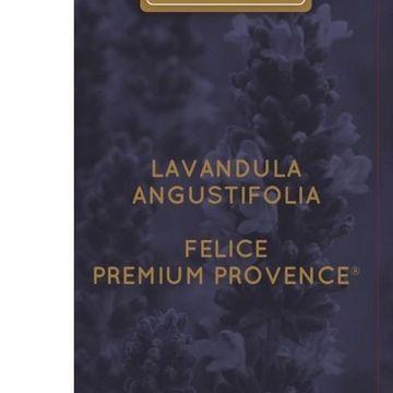 Lavandula angustifolia 'Felice Premium Provence'