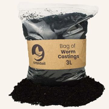 Substrater WORM CASTINGS