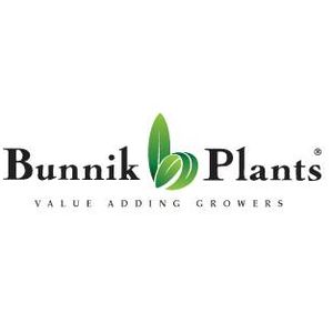 Bunnik Plants