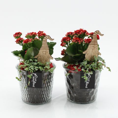 Arrangement Christmas