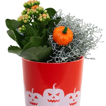 Arrangement Halloween