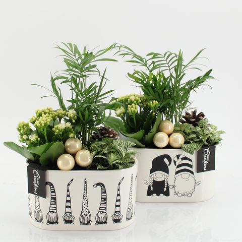 Arrangement Christmas