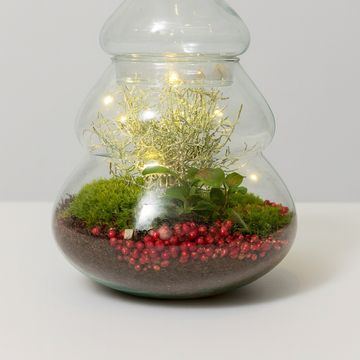 Arrangement Christmas