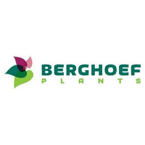 Berghoef Plants
